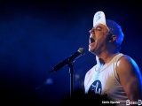Elmer Food Beat - Ferme du Biereau